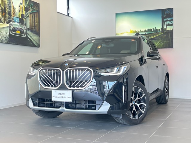 BMW X3 1