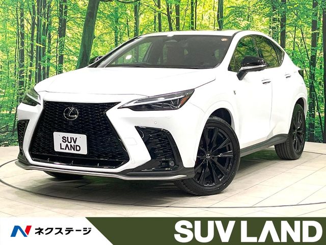Lexus NX 1