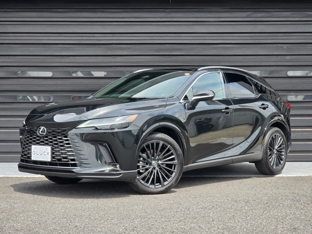 2025 Lexus RX