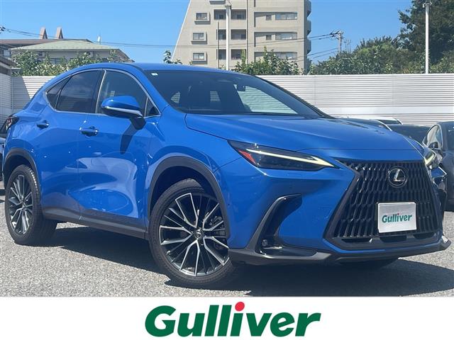 Lexus NX 1