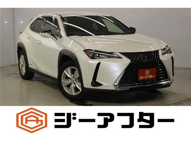 2019 Lexus UX