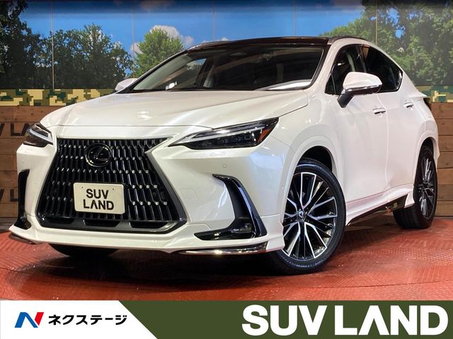 2023 Lexus NX
