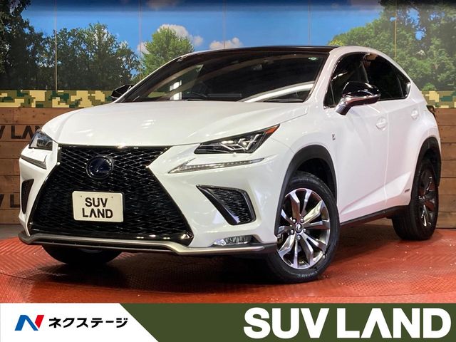 2019 Lexus NX