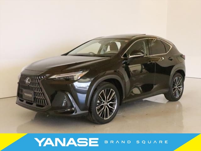 2023 Lexus NX