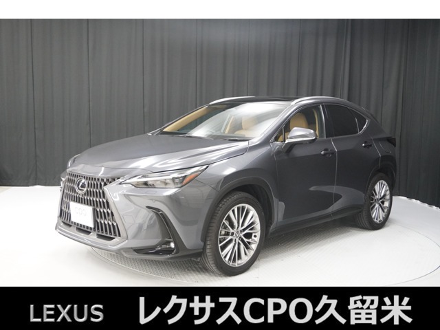 2024 Lexus NX