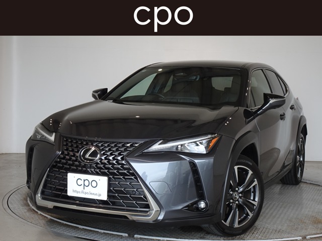 2024 Lexus UX