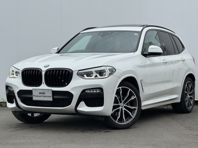 2019 BMW X3