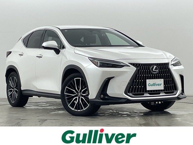 Lexus NX 1