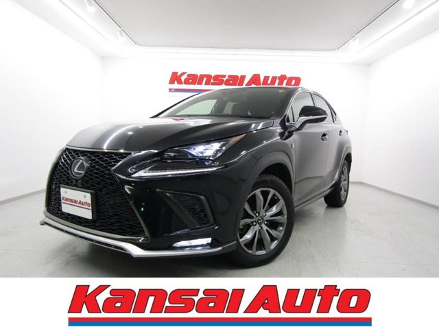 2019 Lexus NX