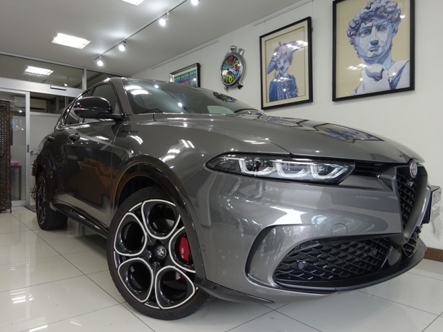 Alfa Romeo トナーレ 1