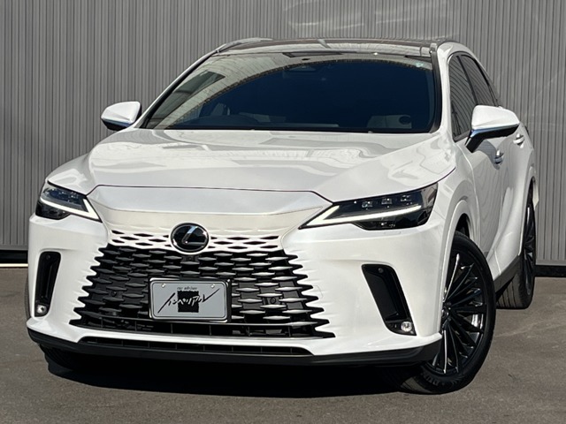 2024 Lexus RX