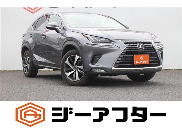 2018 Lexus NX