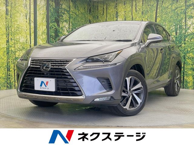 2018 Lexus NX