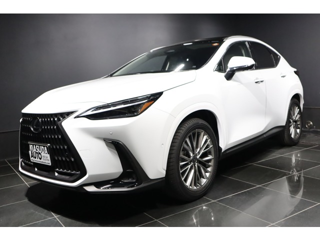 Lexus NX 1