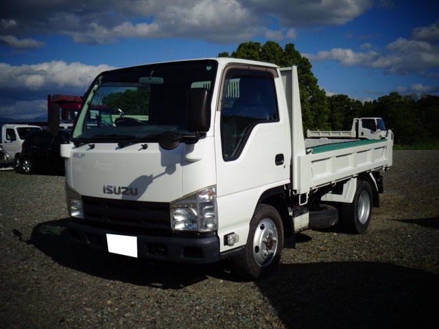 Isuzu Elf 1