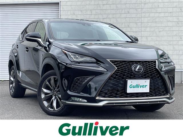 Lexus NX 1