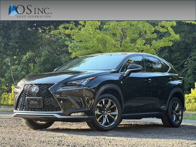 2018 Lexus NX