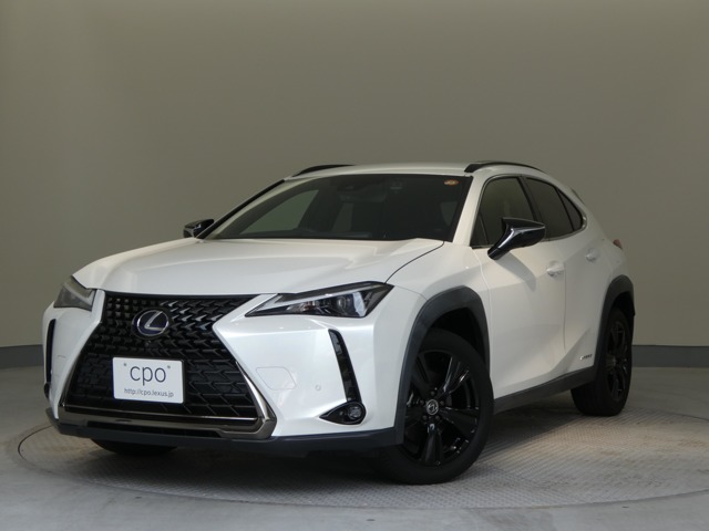 2021 Lexus UX