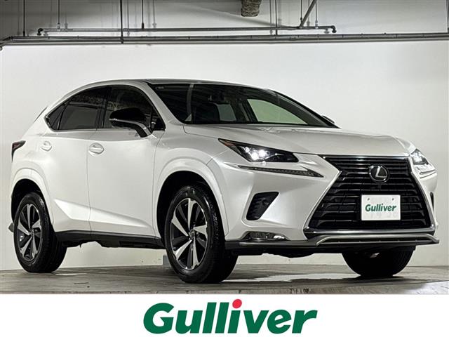 Lexus NX 1