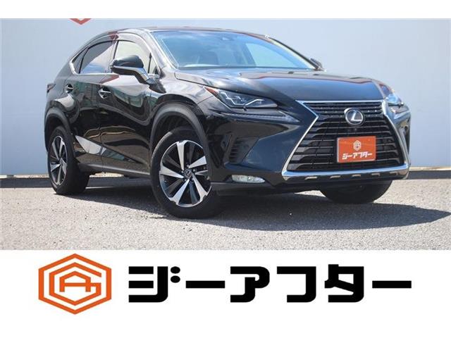 Lexus NX 1
