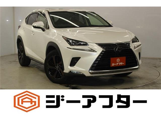 Lexus NX 1