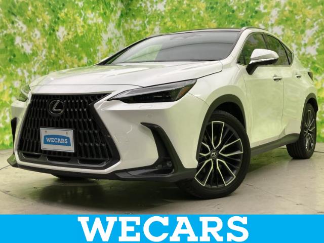 2023 Lexus NX
