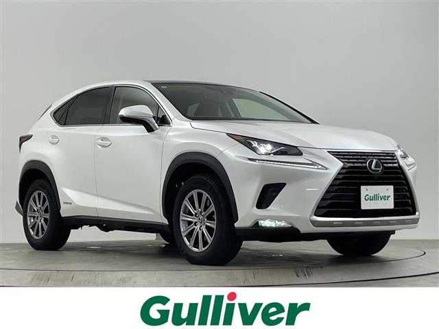 Lexus NX 1