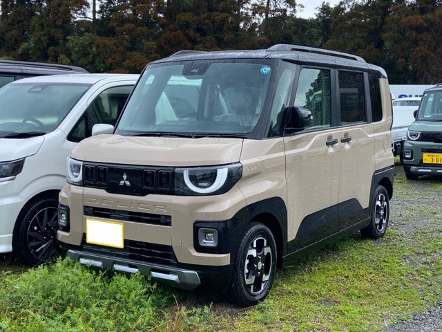 Mitsubishi Delica Mini 1