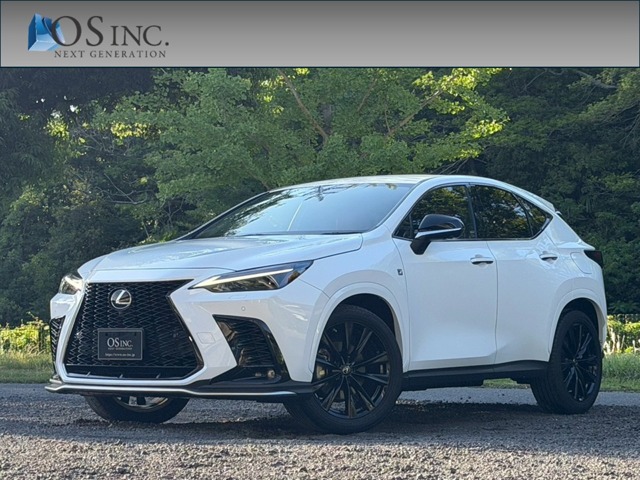 2023 Lexus NX