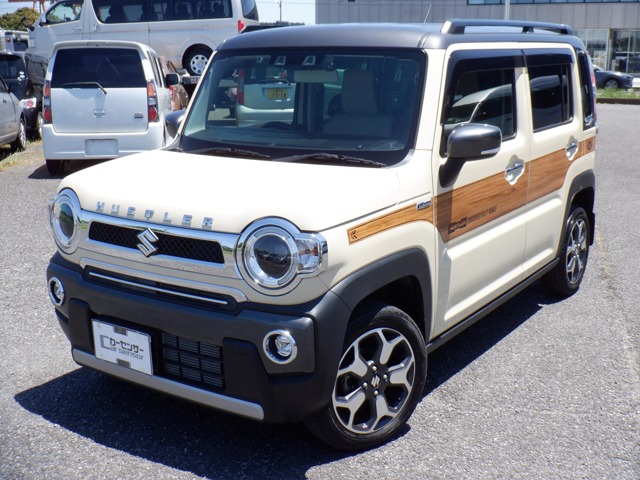 Suzuki Hustler 1