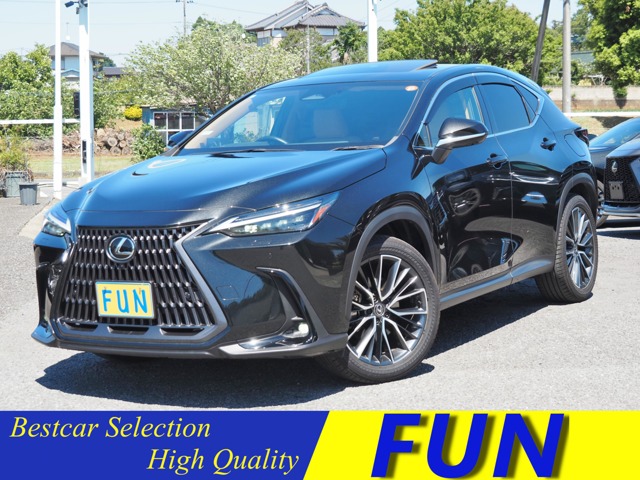 Lexus NX 1