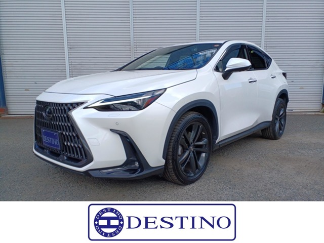 2022 Lexus NX