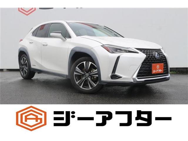 Lexus UX 1