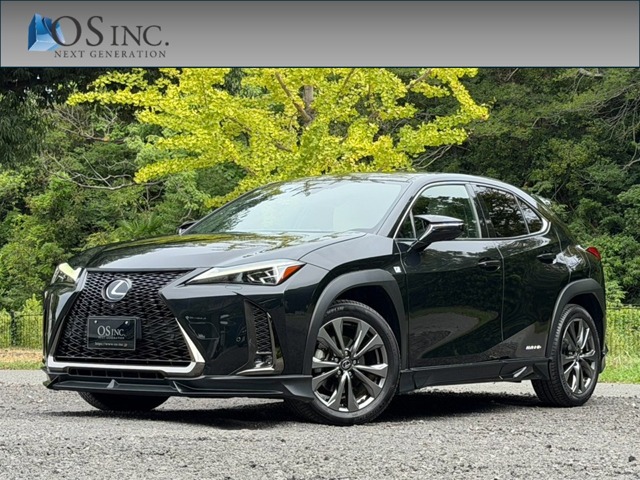 2021 Lexus UX