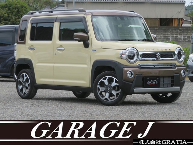 Suzuki Hustler 1