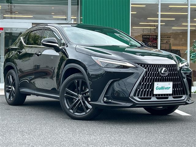 Lexus NX 1