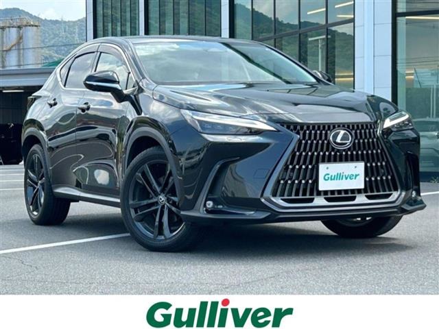 Lexus NX 2