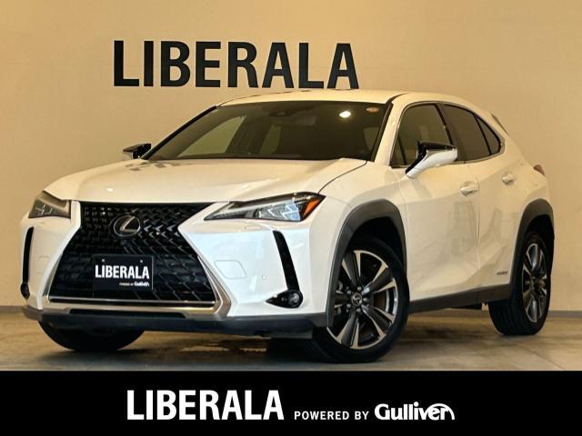 Lexus UX 1