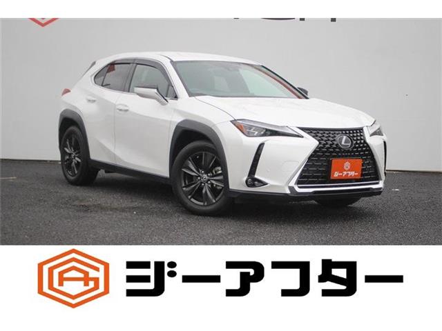 2019 Lexus UX