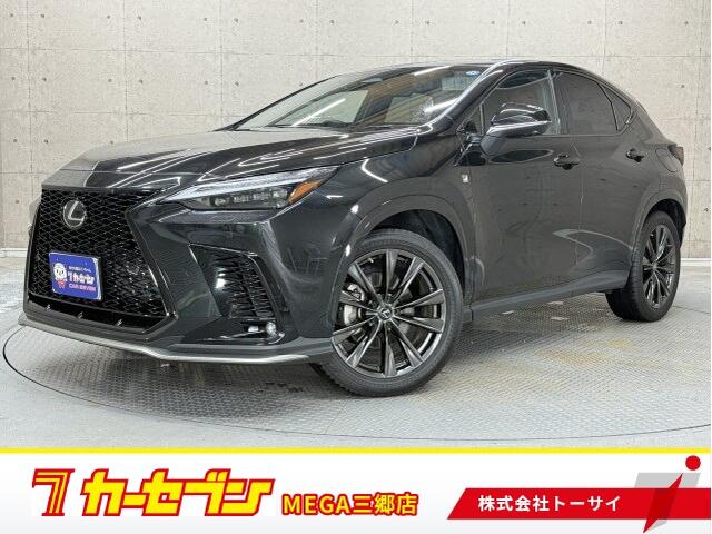 Lexus NX 1