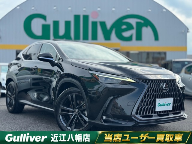 2023 Lexus NX