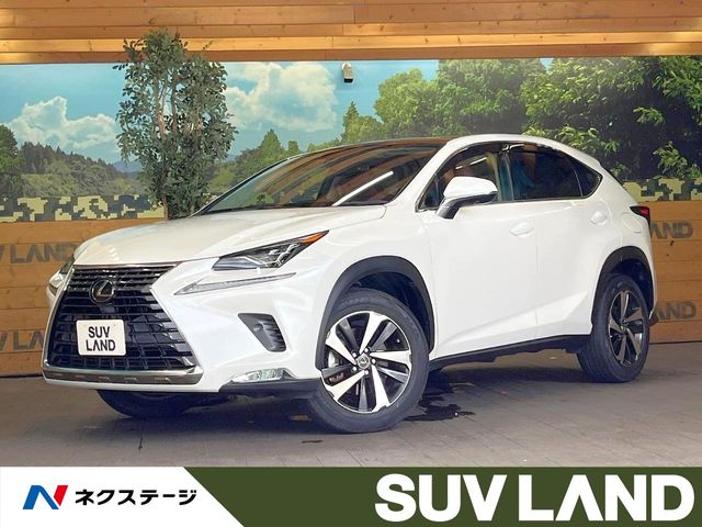 Lexus NX 1