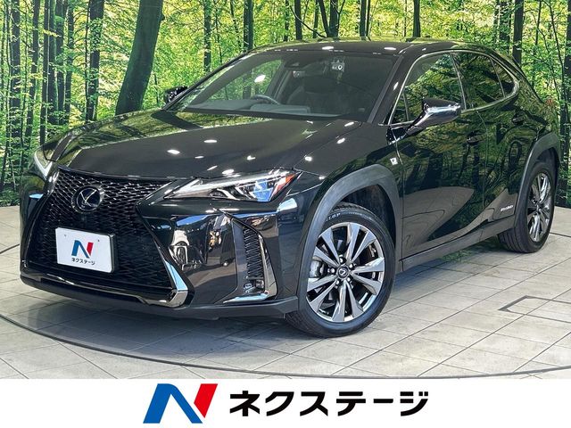 2020 Lexus UX