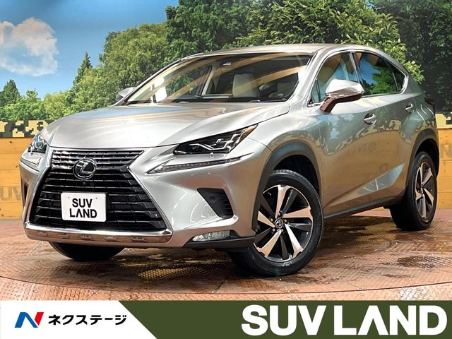 2018 Lexus NX