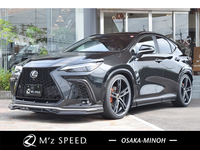 2025 Lexus NX