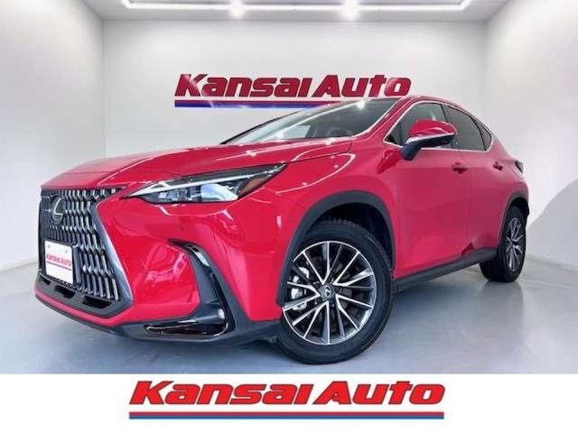 Lexus NX 1
