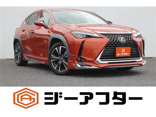 2018 Lexus UX