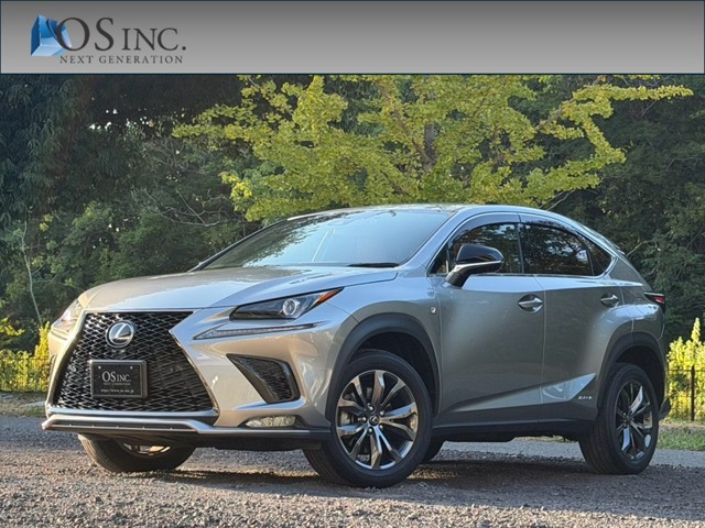 2021 Lexus NX
