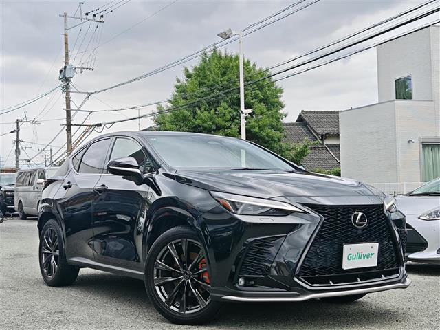 Lexus NX 1