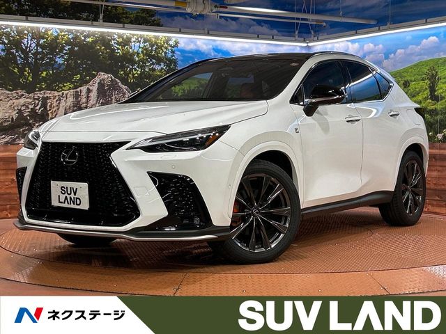Lexus NX 1
